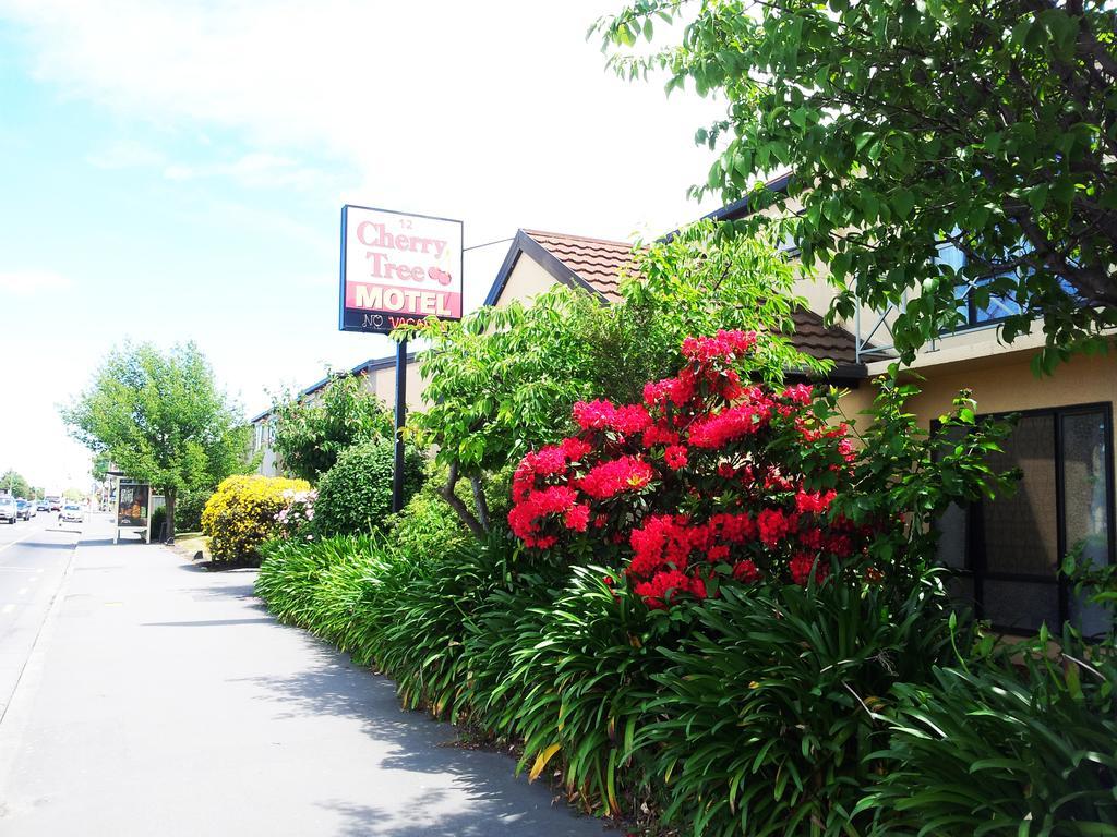 כרייסטצ'רץ' Cherry Tree Lodge Motel מראה חיצוני תמונה